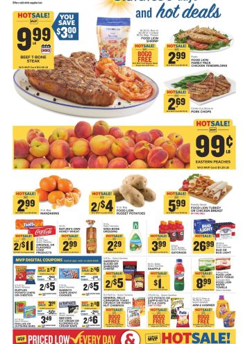 Foodlion offer thumb