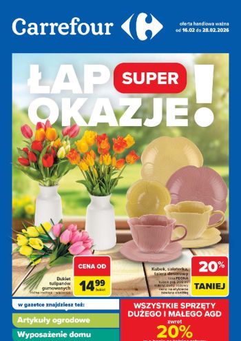 Carrefour offer thumb