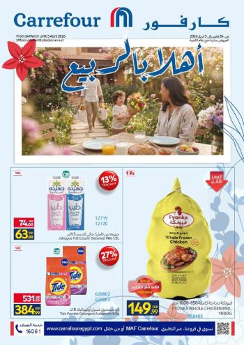 Carrefour offer thumb